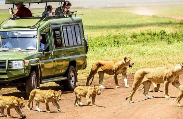 4-Day-safari-in-Ngorongoro-crater